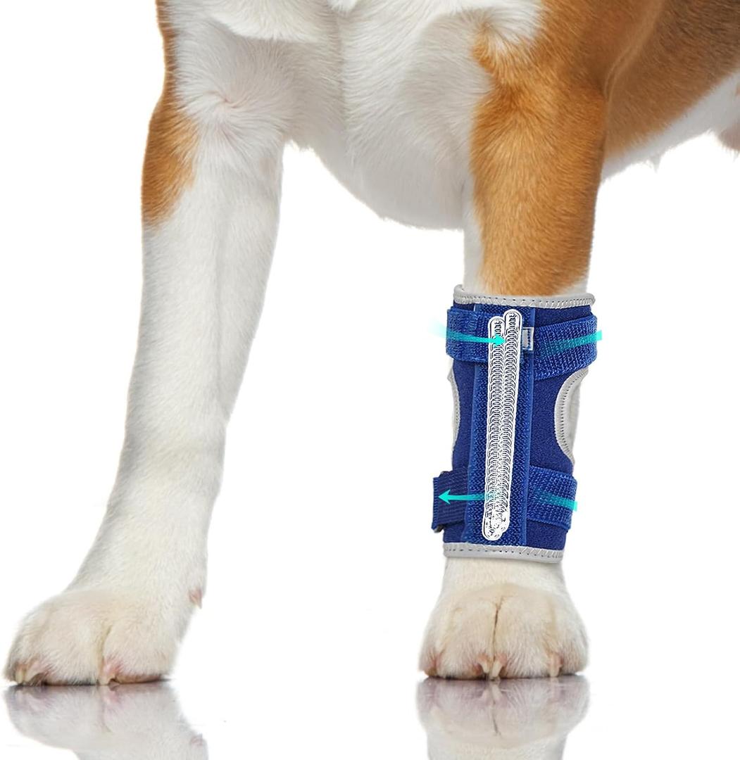 Dog Front Leg Brace: Adjustable Splint for Ankle, Front Leg, Ankle, Fore Limb, Sprain Wrap with Removable Metal Springs and Reflective Edge, for Arthritis, Sprains, and Injury Support(L)