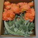 Htmeing 6PCS Artificial Ranunculus Flowers with Real Touch Stem for Household Arrangement (Light Orange)