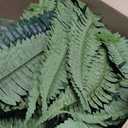 MARTINE MALL 48 inch 128 Leaves Artificial Ferns for Outdoors Look Real Fake Ferns, Large Faux Boston Ferns for Outdoor Planter Realistic UV Resistant Artificial Fake Plants for Porch Patio Hanging
