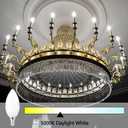 B11 LED Light Bulb E12 Candelabra LED Light Bulbs 5000 Kelvin Daylight White Ceiling Fan Bulb Chandelier Bulbs Candle Bulbs for Ceiling Fan, Non-Dimmable (12 Pack, Daylight White)