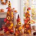 Jenaai 3 Pcs Lighted Fall Table Tree Decor, Thanksgiving Cone Tree Decor