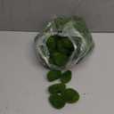 TIHOOD 40PCS Artificial Moss Rocks (4 Sizes), Green Moss Decor for Floral Arrangements, Fairy Gardens and Crafting