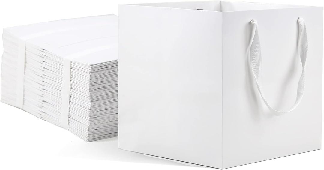 HUAPRINT White Paper Bags with Handles, Gift Bags Bulk 12 Pack, Large Square Size 10x10x10inch, Kraft, Party, Favor, Birthday, Goody, Take-Out, Merchandise, Retail