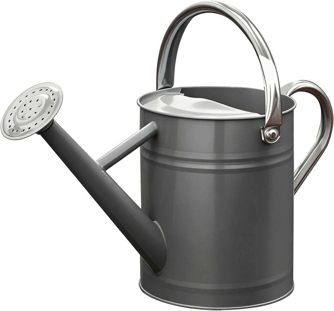 Metal Watering Can for Outdoor and Indoor Plants, Watering Can Decor, 1 Gallon (Gray)