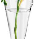 Clear Circular Cone Glass Wall Hanging Vase Flower Vase Bottle for Plant Holder Flower Creative Decor Cone Type Vase Succulent Planter Arrangement for Bedroom Kitchen Living Room Office