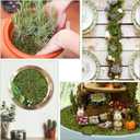 YUNVI 35 OZ Large Capacity Artificial Moss for Potted Plants,Natural Fake Moss Grass for Plants Indoor,Craft and Greenery Bulk for Hamsters(Fresh Green)