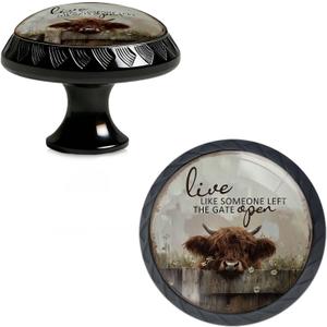 4 Pack Live Like Someone Left The Gate Open Funny Kitchen Cabinet Knobs Acrylic Round Drawer Pulls for Dresser Cupboard Door Handles
