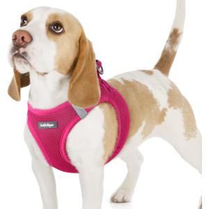 rabbitgoo Small Dog Harness, Step-in Soft Mesh Puppy Vest with Safety Buckle, Breathable Reflective Pet Harness for Small Sized Dogs, Rose Red M (M(Chest:16.0"-18.5"))