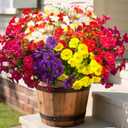Grunyia Artificial UV Resistant Morning Glory Flowers with Eucalyptus - 16 Bundles Faux Silk Plastic Mixed Color Fake Plants for Outdoor Indoor Porch Patio Planter Yard Garden Home Decor
