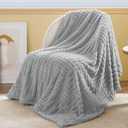 Bedsure Grey Throw Blankets for Couch - Super Soft Blanket for Bed, Cozy Fleece Throw for Girls Women, Warm Cute Small Gift for Spring, 50x60 Inches