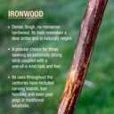 Brazos Rustic Wood Walking Stick, Ironwood, Traditional Style Handle, for Men & Women, Made in The USA, 55 Inch