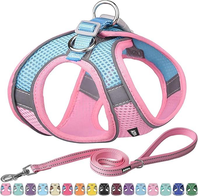 AIITLE No Pull Dog Harness and Leash Set, Step in Adjustable Dog Harness with Padded Vest for All Weather, Dog Leash with Soft Padded Handle, Easy to Put on Small and Medium Dogs Pure Pink S