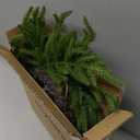 Christmas Wreath for Front Door 24 Inch Real Touch Norfolk Pine Wreath Cedar Greenery Wreath Christmas Reef Large Artificial Winter Green Wreaths for Walls Windows Indoor Outdoor Home Decor (Red)