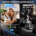 Ultrasonic Bark Collar for Large Medium Small Dogs, Humane No Bark Collar with Beep & Vibration, Smart Barking Collar with 7 Adjustable Sensitivity Levels, Rechargeable Bark Collar for Dogs,Waterproof