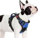 rabbitgoo Dog Harness Small Sized, No Pull Pet Harness with 3 Buckles, Adjustable Soft Padded Vest with Control Handle, Walking Reflective Pet Vest for Small Dogs, Blue, S