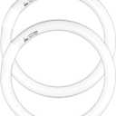 FC12T9 32 Watts Circline Light Bulbs Daylight, Circular 12 Inch T9 32W Round Fluorescent Bulb Replacement for Circle Ceiling Fixture Lamp, DL 6500K Tube, G10q 4 Pin Base, 2 Pack