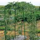 Green Polypropylene Garden Trellis Netting 6.5x100 ft, Heavy Duty Plant Support Net for Climbing Vegetables, Fruits & Flowers