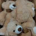 Skylety 10 Pcs Bears Bulk Stuffed Animal Plush Toys 10-14 Inches Birthday Party Favors(Light Brown)