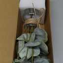 Piklado Fake Eucalyptus Stems in Vase with Faux Water,Artificial Plants Eucalyptus Leaves for Shelf Desk Bathroom Farmhouse Room Coffee Table Faux Greenery Plants Decorations (Green)