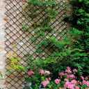Expandable Garden Trellis Plant Support Willow Lattice Fence Panel for Climbing Plants Vine Ivy Rose Cucumbers Clematis 36X92 Inch
