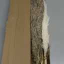 30 PCS Boho Decor, Fluffy Pompas Grass, Natural Dry Pampas Grass Small, Short Pampass Bulk for Boho Room, Coffee Table Decor (17 inch )