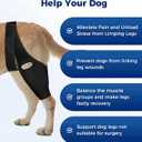 Dog Knee Brace, Dog ACL Brace for Front Torn and Back Hind Rear Legs ACL Tear, Knee XL
