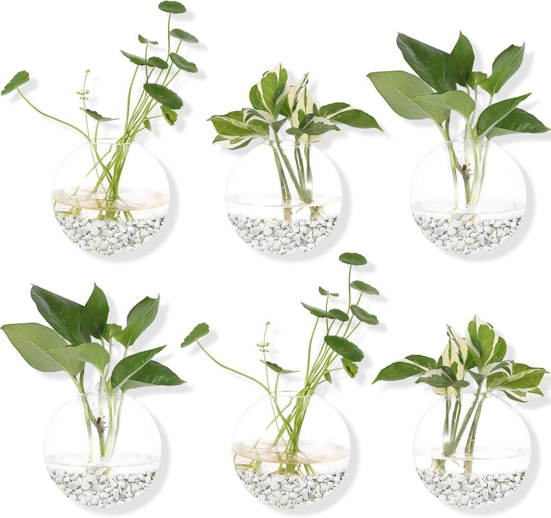Hanging Wall Planters Pack of 6 Glass Planter Pots Round Glass Flower Vases Hanging Propagation Station Glass Plant Hanger Terrariums Wall Hanging Plant Container