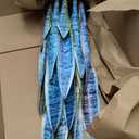 Artificial Snake Plant 26 inches Fake Sansevieria Artificial Potted Plants for Indoor and Outdoor, Home, Office Decoration (Light Green)