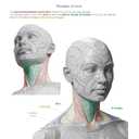 Form of the Head and Neck, Paperback