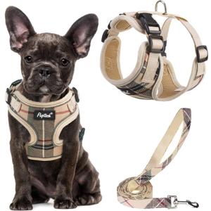 PUPTECK Soft Mesh Dog Harness and Leash Set Pet Puppy Cat Adjustable Reflective Padded Vest No Pull Harnesses, Beige, S (S (NECK: 13-15", CHEST: 14-18"))
