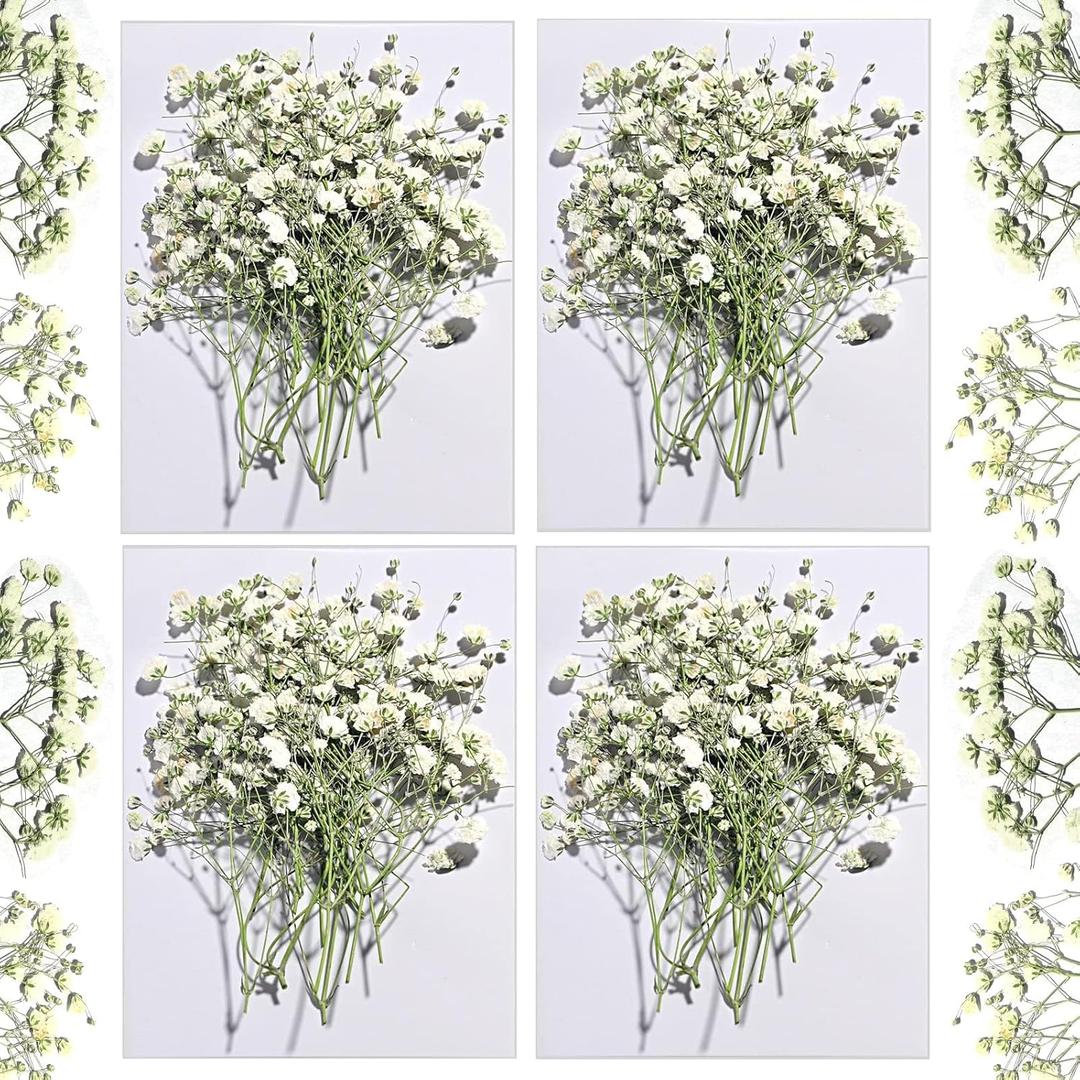 CONVELIFE Dried Babys Breath White, 48pcs Dried Flowers for Resin Pressed from Natural Flowers, Natural Pressed Flowers for Wedding Resin Art Craft DIY Card Making Home Party Decor (White)