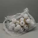 StarryEver Patio Lights Plug in 40ft 40LED Warm White & Multicolor Mini Lantern Lights Waterproof, Hanging Hemp Rope String Lights Indoor Outdoor with Remote, Timer for Porch Garden Balcony Party