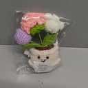 Teacher Appreciation Gifts, Thank You Teacher Gifts, Graduation Birthday Retirement Gift for Teachers Mentor Coworker Boss, Cute Handmade Crochet Carnations 3 Flowers Pot Doll Teacher's Day Bulk Gift