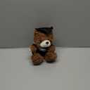 Graduation Bears 2025 Plush Stuffed Animal Bear with Gown Cap Tassel Set Cute Brown Graduate Gifts Stuffed Animal Doll Plush Toy for Graduation Party Supplies(11.8 Inch,Black)