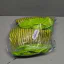 FUTUREPLUSX Inflatable Palm Tree Cooler, Drink Holder for Pool Palm Tree Blow Up Cooler Beverage Cooler for Hawaiian Party Decorations, 2 Pack