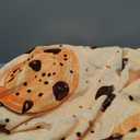 Chocolate Chip Cookie Blanket, Fun Food Themed Flannel Blanket Gifts for Women, Soft Warm Lightweight Blankets for Living Room Home Travel Decor 50" x 60" (Color39)