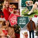 8 x Christmas Dog Bandanas Naughty & Nice Idea Funny Holiday Stocking Pet Scarf Gifts - On The Naughty List and I Regret Nothing, Solid Green, Extra Large Breed, 75lbs+