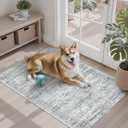 Soalmost 2x3 Washable Rugs for Kitchen, Floor, Entryway, Powder Room Small Area Rug Non-Slip Vintage Low Pile Throw Door Mat Grey