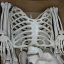 5.4FT Full Size Halloween Skeleton, Life Size Posable Skeleton with Glowing Eyes Scary Sound, Plastic Skeleton with Movable Joints for Halloween Decoration