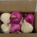 Folmywy Artificial Fake Garlic 10 Pcs White Purple Realistic Foam Vegetable Garlics Decoration Faux Simulation Vegetables Model for Bowls Filler Shop Display Home Kitchen Tabletop Decor