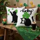 St Patricks Day Decorations, Set of 2 St Patricks Day Pillow Cover 18 x 18 Inch Saint Paddy's Black Cat Lucky Clover Decor, Embroidered Throw Pillow Cover Cushion Case for Bedroom Sofa Couch