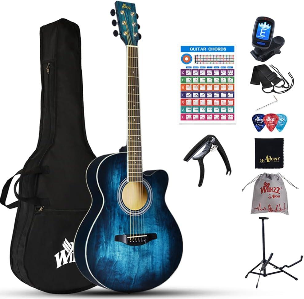Winzz Acoustic Steel-string Guitar Beginner for Adults Students, Elegant Unique Color Design (vintage blue)