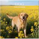 2026 Calendar, Wall Calendar 2026, Dogs 12 Month Wall Calendars (Jan - Dec 2026) 12" x 24" Opened, Hanging Monthly Calendar Thick Paper for Kids Family Adults Office Home