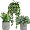 Winlyn Set of 3 Mini Potted Succulents Artificial String of Pearls Aloe Hops Succulent Plants in Gray Pots for Gifts Table Shelves Windowsill Office Desk Indoor Greenery Decorations Wedding Favors