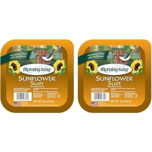 Morning Song 11454 Sunflower Suet Wild Bird Food, 9-Ounce (Pack of 12)