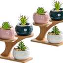 2-Pack Bamboo Mini Plant Stands for Window Sill & Desk, Small Indoor Decorative Shelves - Lightweight Space-Saving Home Office Decor for Living Room, Bedroom, Tabletop