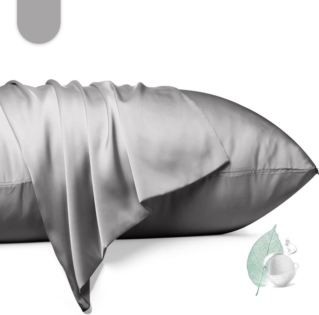 100% Mulberry Silk Pillowcase 2 Pack,Queen Size Silk Pillow Cases for Hair and Skin,Silky Smooth Bed Pillow Cover with Hidden Zipper,Natural Silk Pillow Case Set of 2 (Gray, Queen 20X30)
