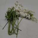 IPOPU White Flowers Artificial Delphinium 9PCS with Clematis Greenery for Wedding & Home Decor