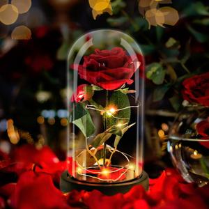 Rose in A Glass Dome Beauty and The Beast Enchanted Red Silk Rose LED Light Romantic Gift Movie Theme Party Mother's Day Valentine's Day Wedding Decoration