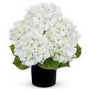 Hollyone White Hydrangea Artificial Flowers in Pots 15.7" Five-Head Faux Silk Hydranges Flower Arrangements for Indoor Home Office Kitchen Table Centerpieces Wedding Decorations